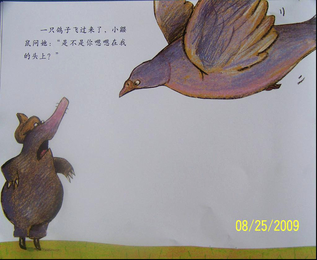 是谁嗯嗯在我头上 (05),绘本,绘本故事,绘本阅读,故事书,童书,图画书,课外阅读